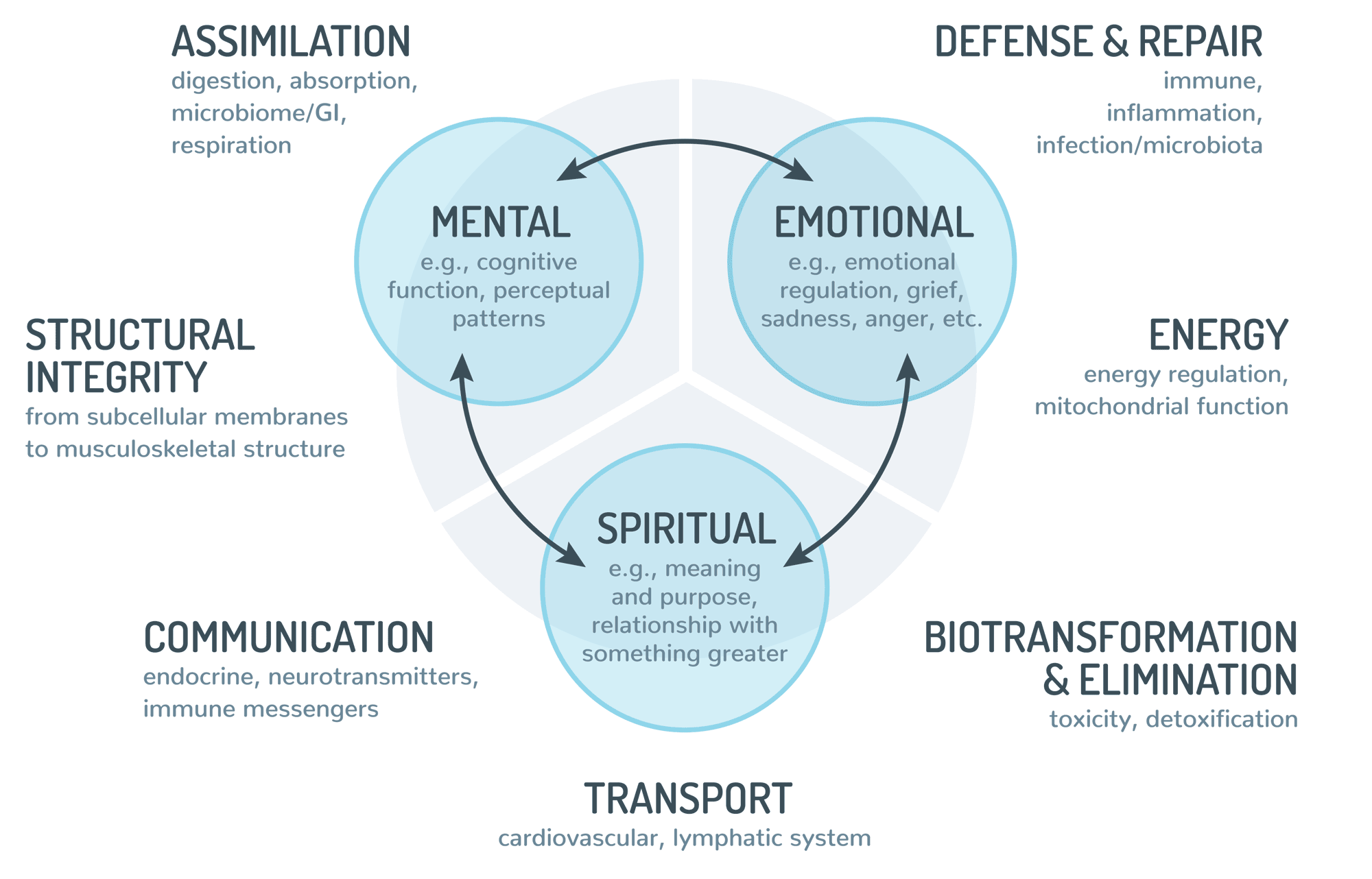 Conditions We Treat - Functional Integrative Medicine of Idaho